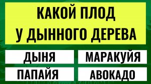 Сможете ли вы ответить на 15/20 Только лучшие справляются. ТЕСТЫ НА ЭРУДИЦИЮ