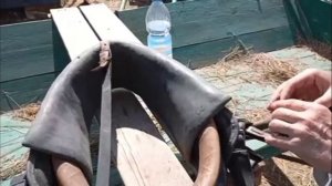 ЛОШАДИ🐎СОДЕРЖАНИЕ МУЛОВ И УХОД ЗА УПРЯЖЬЮ🐎 ПРИВЕТ ИЗ КУБАНИ🐴
