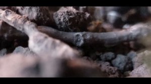 LPS сериал: "RIPPER"  4 episode