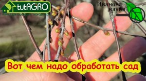 НЕ ОПОЗДАЙТЕ С ЭТОЙ ОБРАБОТКОЙ САДА! Чем обработать деревья и кустарники в АПРЕЛЕ?