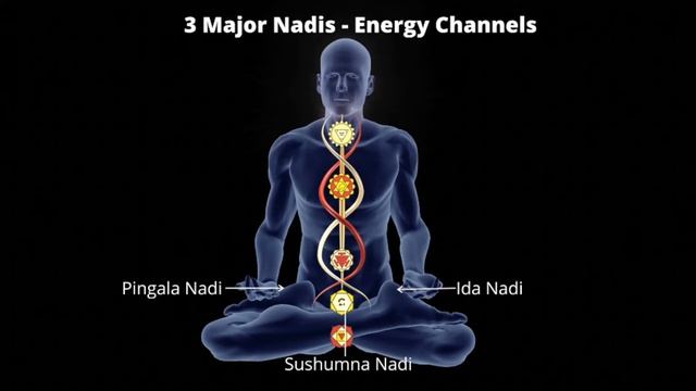 Nadis and Chakras | What is the role of Nadis and Chakras in our life? смотреть онлайн