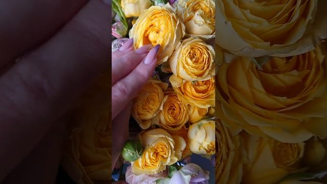 Beautiful Roses #look #art #artist #life #beautiful #morning #YUMMY #amazing