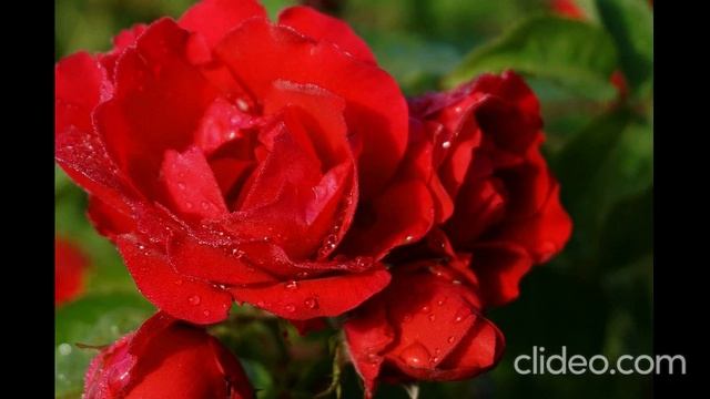 Второе соборное послание святого апостола Петра глава 2. смотреть онлайн