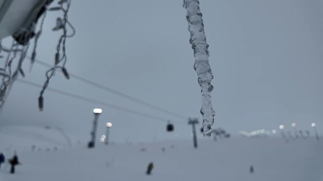 Туманный день, BigWood, март 2025