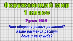 Окружающий мир 1 класс (Урок№4 - Что общего у разных растений? Какие растут дома и на клумбе?)