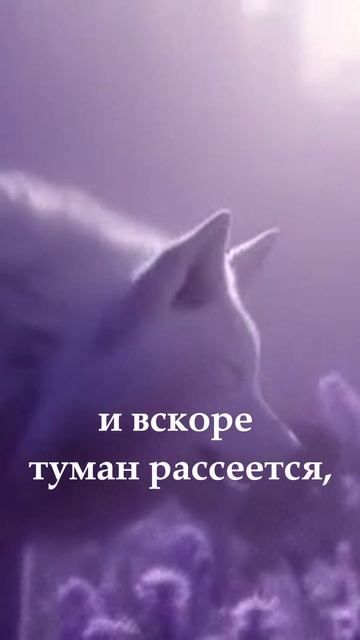 Поиск себя и своего пути смотреть онлайн