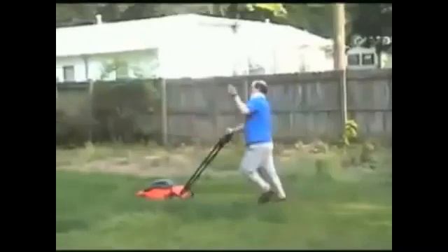 The Tourettes Guy and the Brutal Bird Battle (With Music) смотреть онлайн
