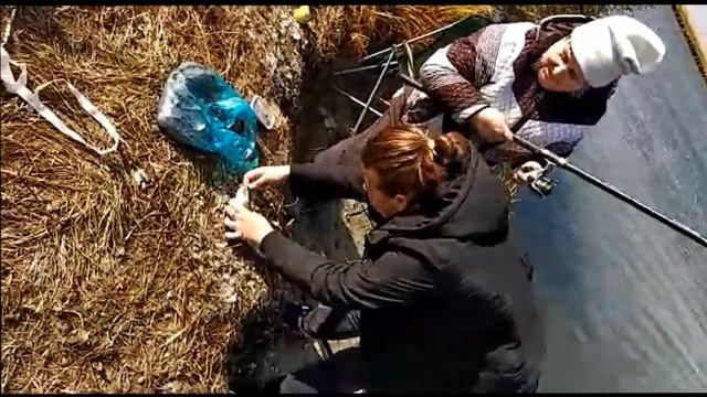 Рыбалка на карасей и щук смотреть онлайн