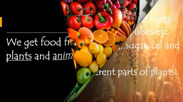 PPT ON FOOD WE EAT Class 2 смотреть онлайн