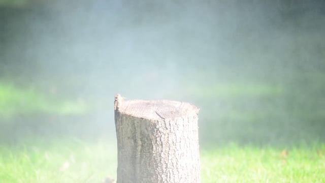 How to make a can of deodorant vanish смотреть онлайн