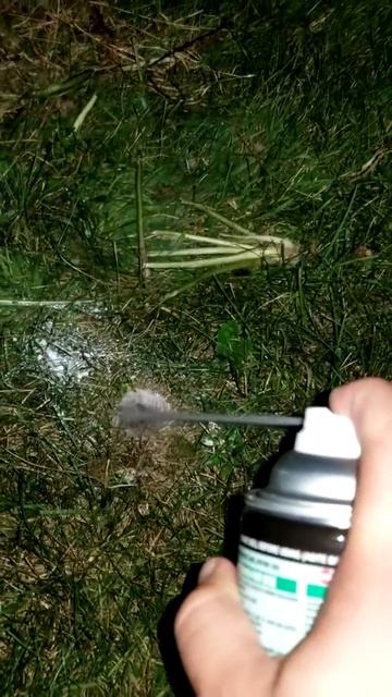 Inground wasp removal : step 1 смотреть онлайн