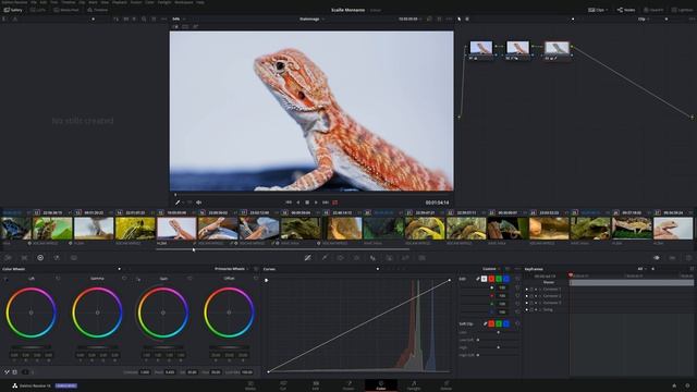 DaVinci Resolve 16, Étalonnage#9 : Groupes et Versions смотреть онлайн