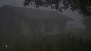 ШУМ ДОЖДЯ ДЛЯ КРЕПКОГО СНА,ПОМОЖЕТ ВАМ БЫСТРО РАССЛАБИТЬСЯ