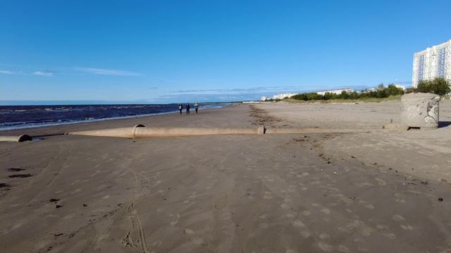Прогулка по берегу Белого моря смотреть онлайн