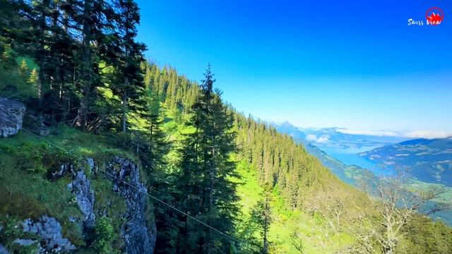 World’s Most Scenic Train Journey In Switzerland _ Schynige Platte , Top Of Swiss Tradition