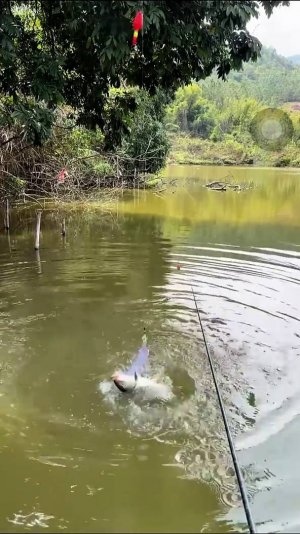 Лайфхак для Рыбалки сетка с кормушкой на крупную рыбу Покажу на видео