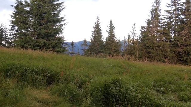 Сивульські несподіванки. Частина 1 - хребет Горган 2020