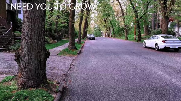 Виртуальный тур по Нью-Йорку