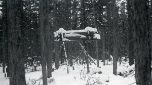 Группа Дятлова. Виноваты ли Манси