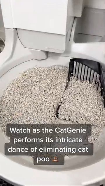 CatGenie puts on quite the show #catgenie #shorts #cat смотреть онлайн