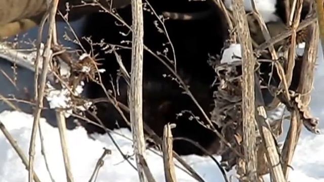 Мое измененное видео смотреть онлайн