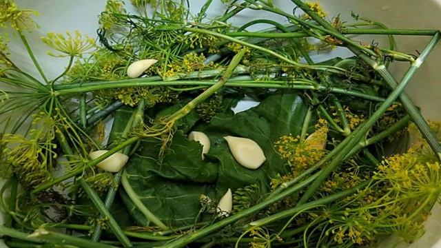 Книга рецептов