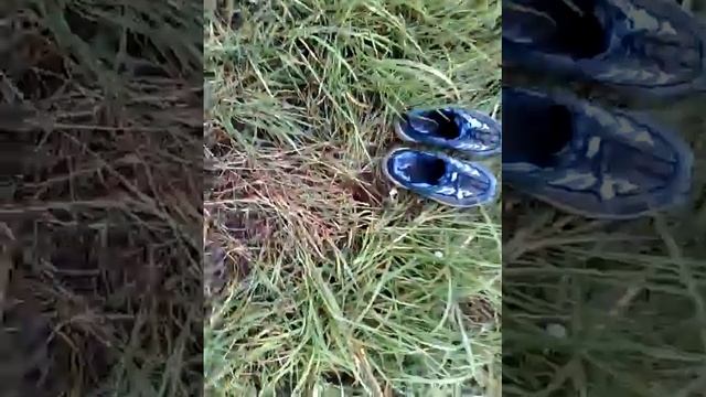 Бомжи рулят смотреть онлайн