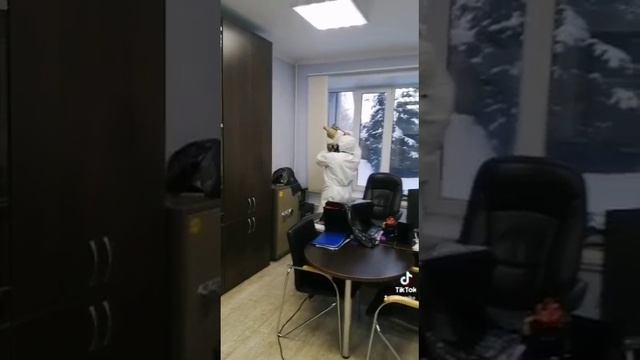 ДезСтрайк Дезинсекция Красноярск