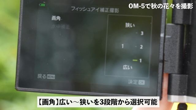 【コスモスは魚眼で撮ろう】OM SYSTEM OM-5と8mm F1.8 Fisheyeで秋の花々を撮影！マクロと超広角を兼ね備えた個性的レンズ смотреть онлайн