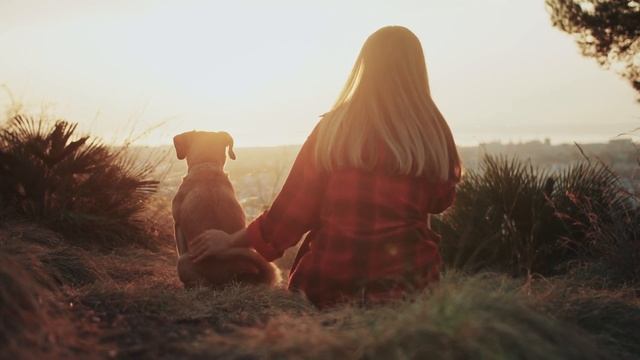 Discover Canine Flow - dog training for the soul смотреть онлайн