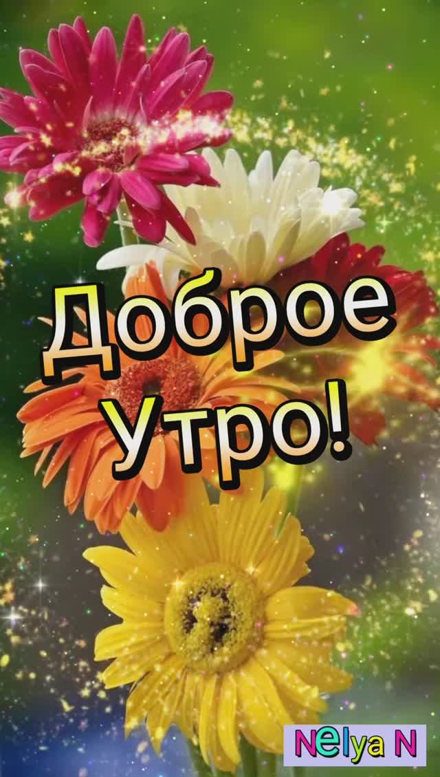 ВидеоОткрытка на каждый день. ДОБРОЕ УТРО смотреть онлайн