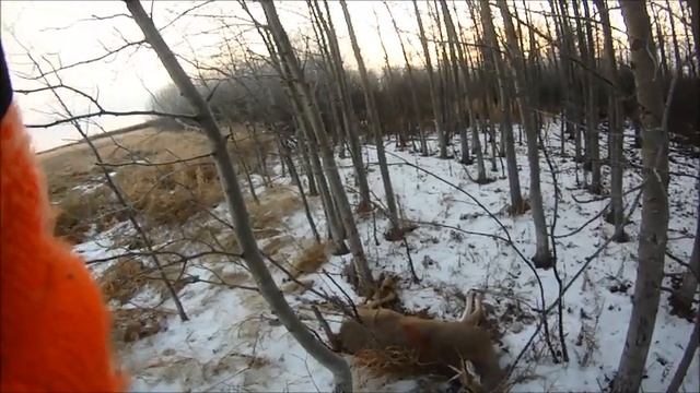 Охотился на оленя. Ноябрь 2014. Часть 1. Канада. смотреть онлайн