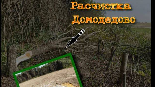 Расчистка Домодедово