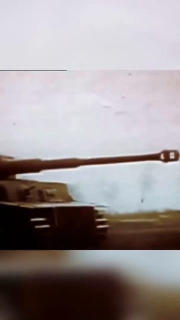 В глаз тигра #shorts#wotb#blitz#танки смотреть онлайн