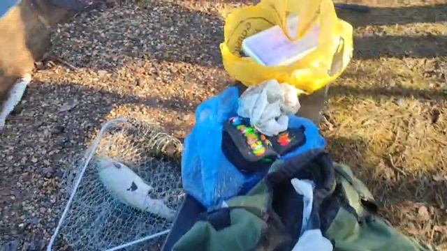 WhatsApp Video 2025-03-29 at 10.13.36 смотреть онлайн