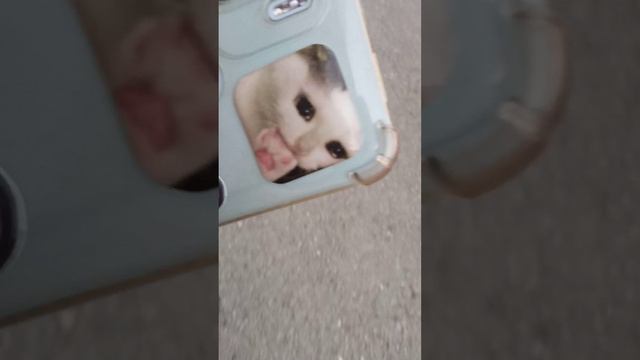 прятки первая часть смотреть онлайн