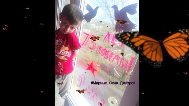 Акция "Мирные окна Дмитров" смотреть онлайн