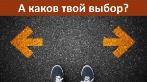 А каков твой выбор?