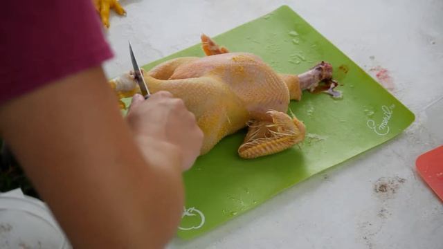 Chicken Processing- KingsLand Projects Homestead