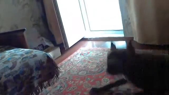 Видео с веб-камеры. Дата: 17 августа 2012 г., 14:14.калиф смотреть онлайн