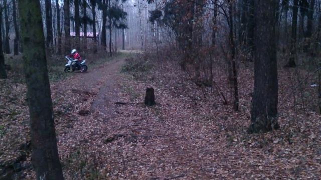 Мототренировка в парке смотреть онлайн