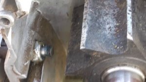 Садовый электрический измельчитель Зубр ЗИЭ-44-2800 через два года после начала эксплуатации.