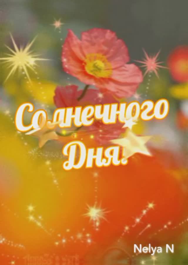 Доброго Дня. ВидеоОткрытка на каждый день смотреть онлайн