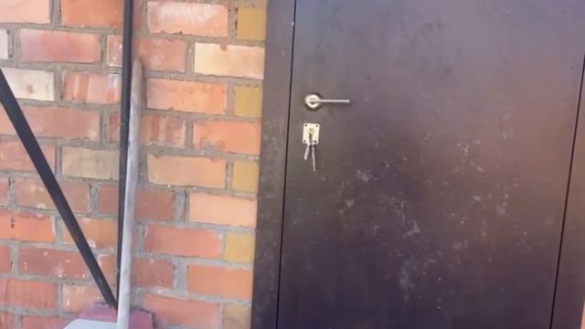 29-03-2025 смотреть онлайн