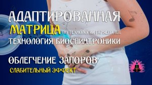 Облегчение запоров 🎶 программа матрица по технологии Гаряева П.П ☀️ SoftRadio.ru