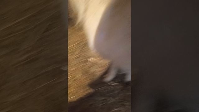 подарки на 8 марта