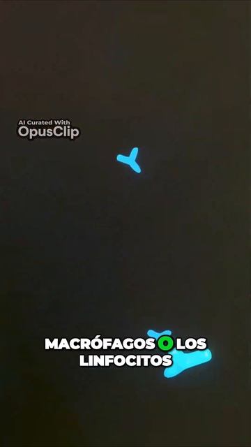 Potencia tu rendimiento deportivo y fortalece tu sistema inmune con AKG смотреть онлайн