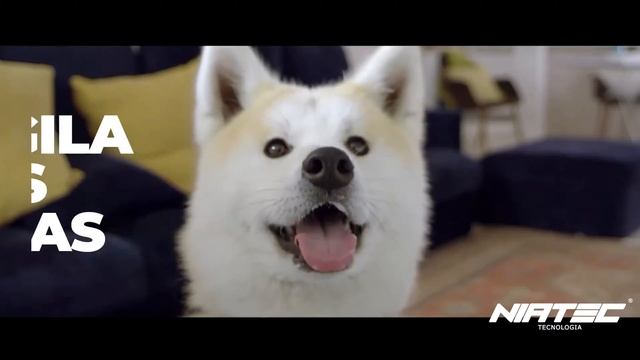 CAMARA EYE-S смотреть онлайн