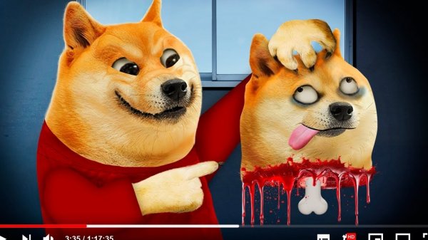📹 Hay un asesino en internet 🐈😱🔪 → 👤 #DogeStory → @youtubabot: 📹720p 🇷🇺 RU