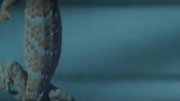 Curling Toes & Technological Advances